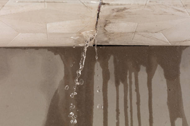 Professional Structural Drying technician working in Columbus, MI